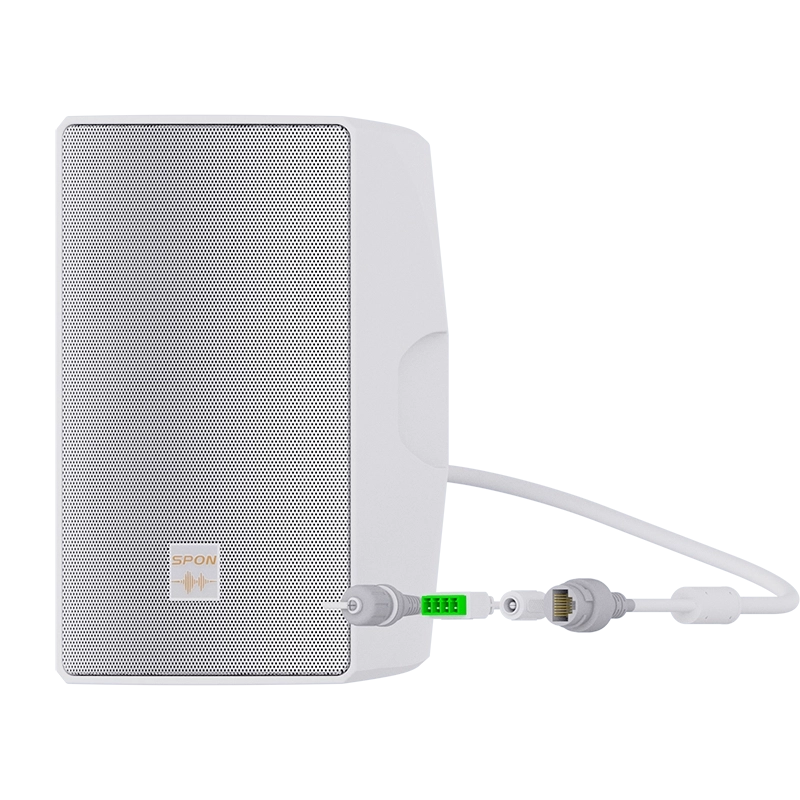 GEN-6013A01 Настенная IP колонка